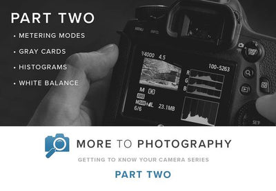 More to Photography Part Two (September 15th)